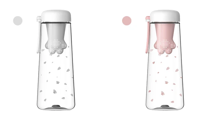 Water Bottles (12)