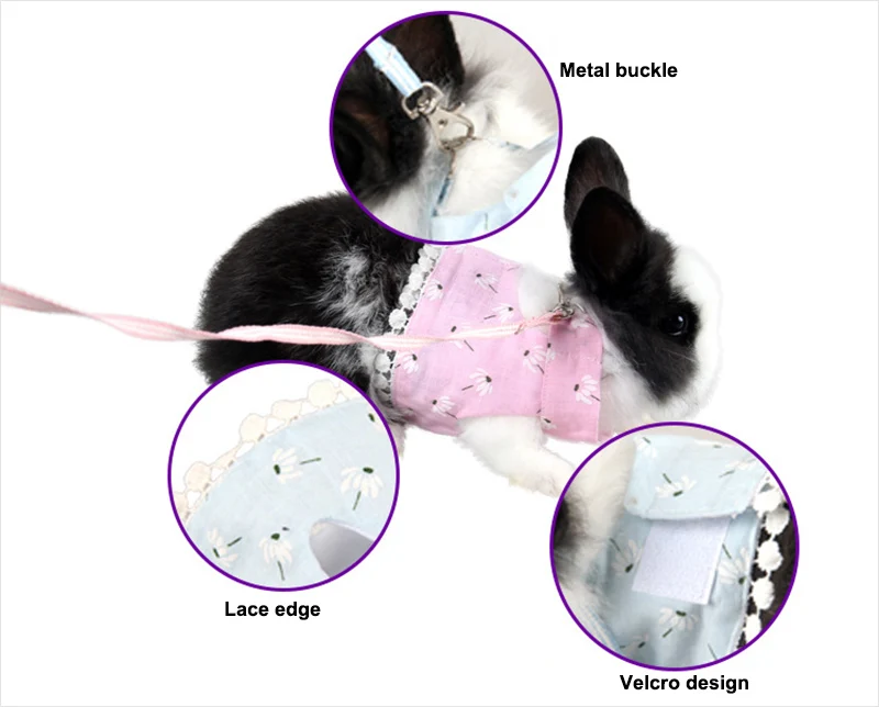 Small pet accessories
