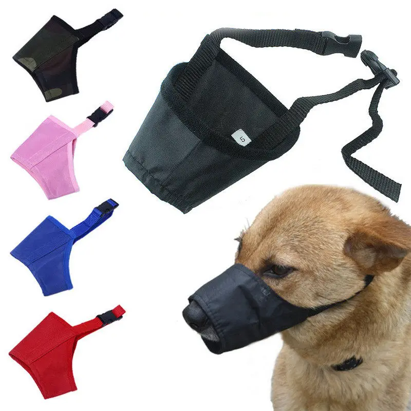 retractable dog bowl