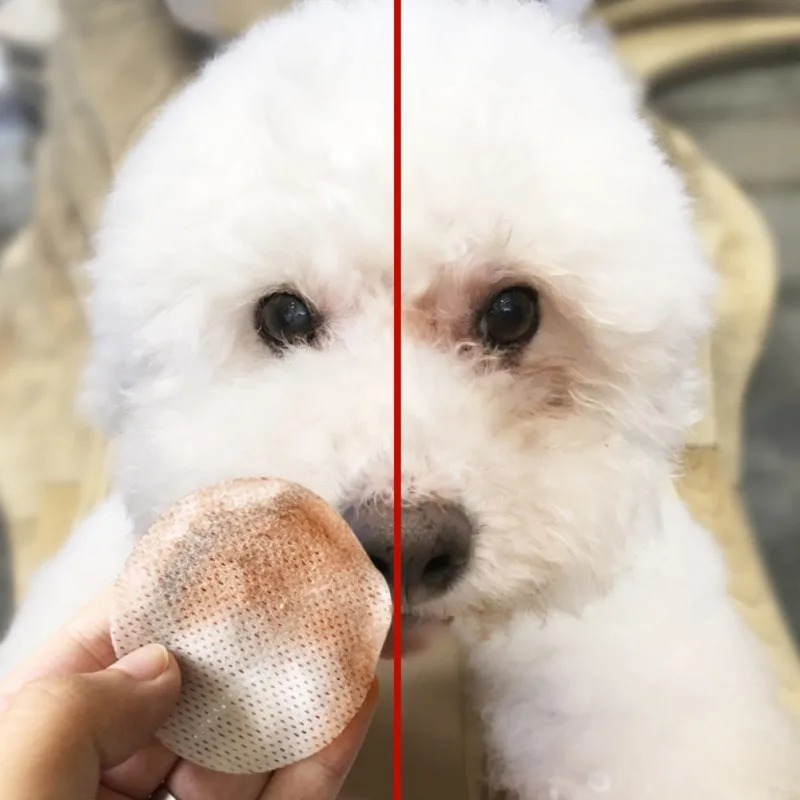 100PCS/Set Pet Eye Wet Wipes Cat Dog Tear Stain Remover Gentle Non-intivating Cleaning Wipes Grooming Cleaning Paper Towels