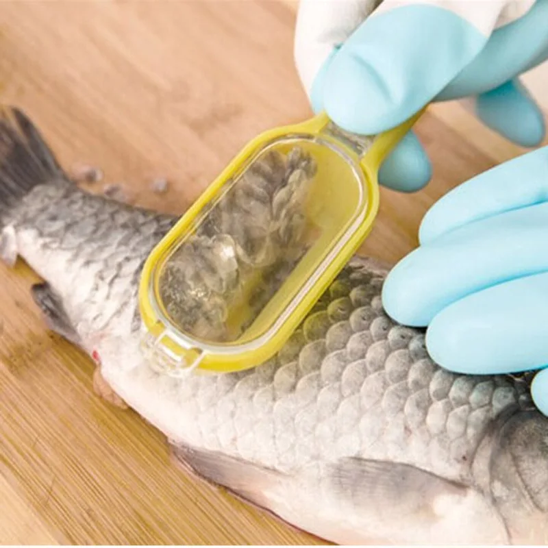 

Multifunctional Fish Clean Kill Scale With Cockroaches Knives Fish Cleaning Tools Kitchen Accessories Cooking