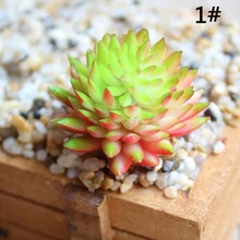 6 см/2,3" искусственное пластиковое растение суккулент Sinocrassula цветок домашний офис Декор подарок