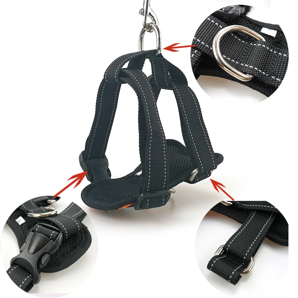 Dog-Leash-in-Dogs-Collars-and-Leads-for-Pets-Products-Nylon-Dog-Leashes-Bicycle-Pet-Dog-