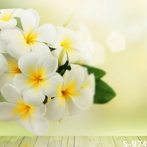 8x8FT Jasmine White Flowers Branch Spring Bokeh Sky Custom Photography Backgrounds Studio Backdrops Vinyl 240cm x | Электроника