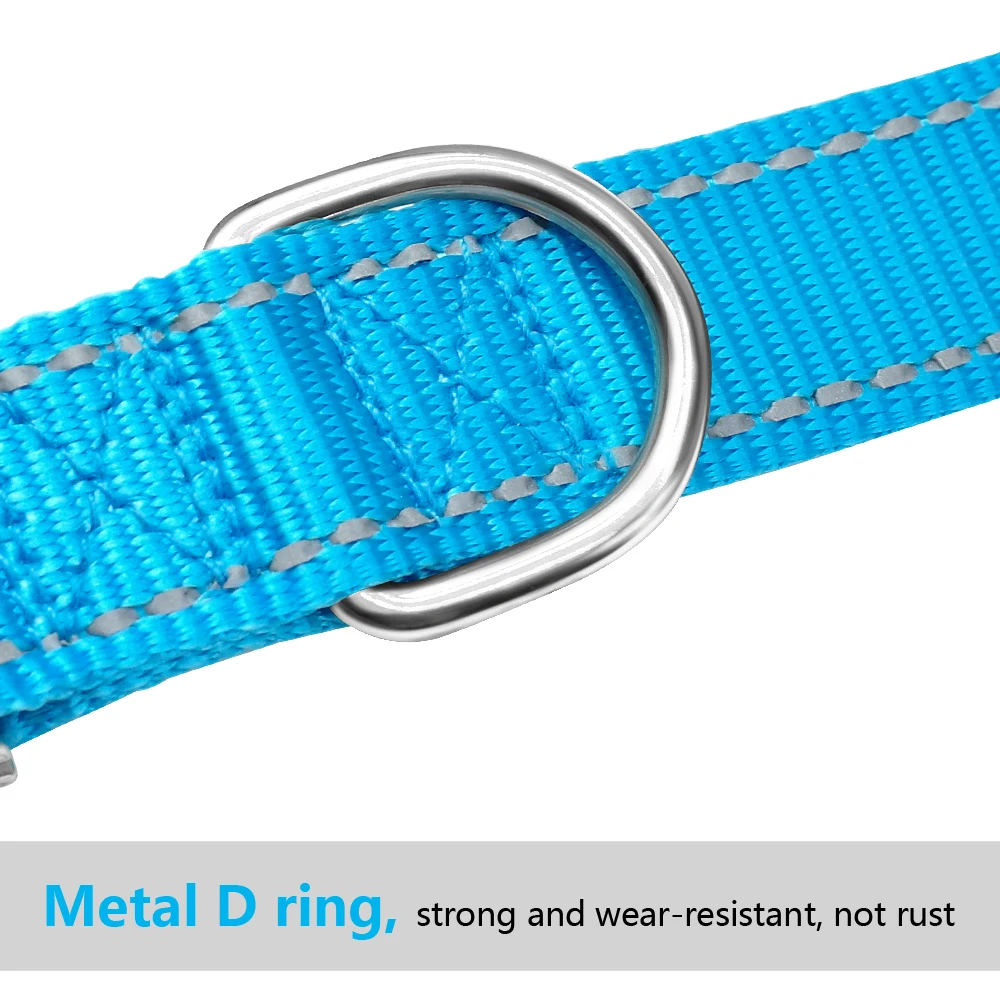 Title 13, Personazlied Dog Collar Nylon Reflective Dog Pe...