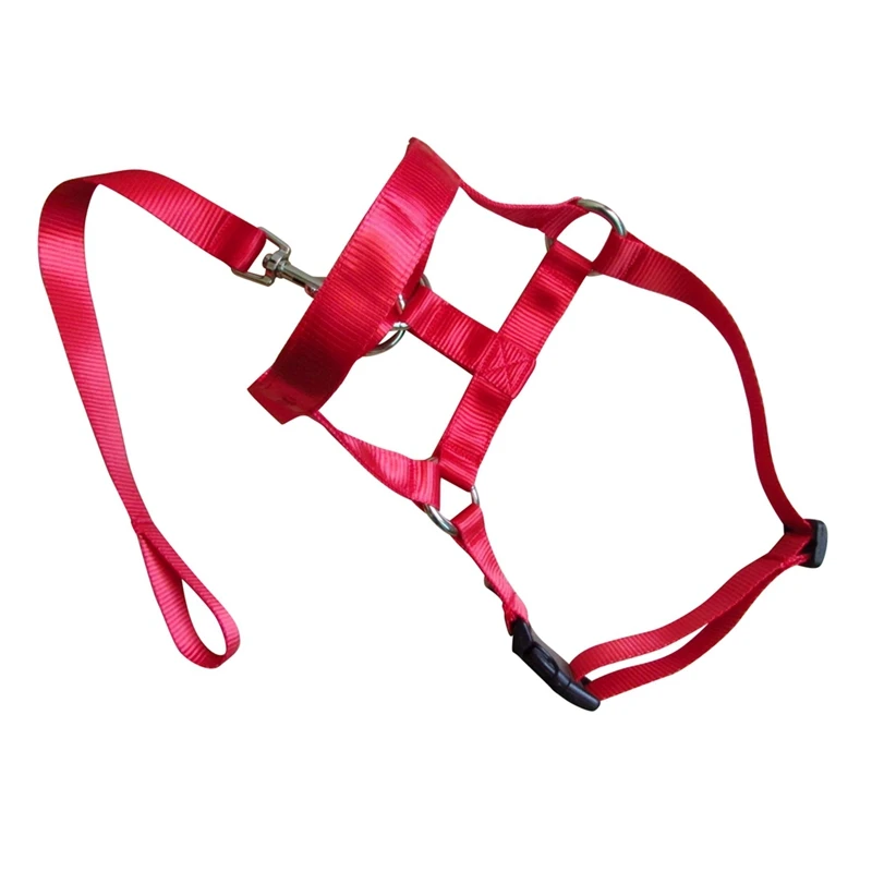 DN0570R (2)