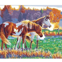 Две лошади пастбища напечатаны DIY цифровая картина маслом по номерам ручная роспись маслом 40x50 см без рамки