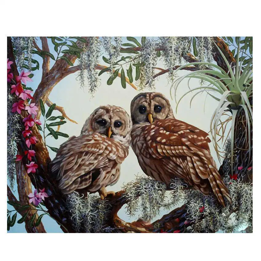 

Decorative Owl Oil Painting By Numbers,Painting By Numbers Animal