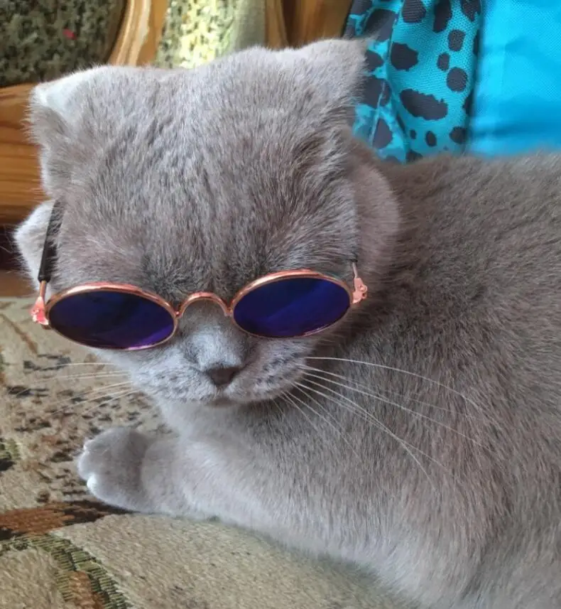 Очки «кошачий глаз» Игрушки для маленьких собак, кошки, собаки, Лето Защита Хэллоуин Косплэй фото реквизит для питомца кота аксессуары: солнцезащитные очки
