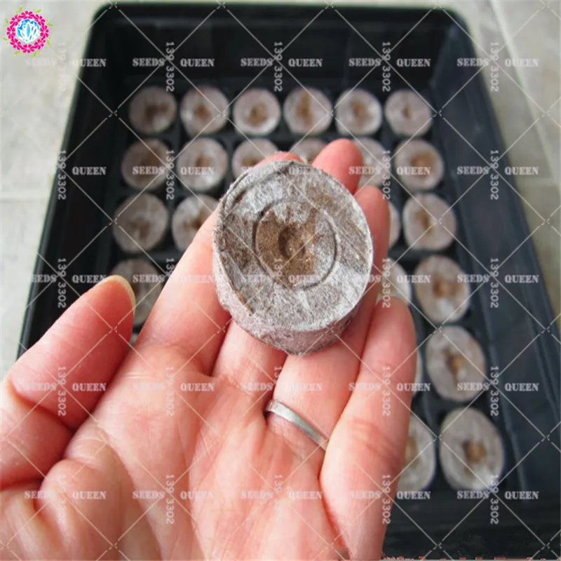 Peat Nursery Nutrition Block Vegetable Integrated Compression Nutrition Base For Home Garden Easy To Use Improve The Soil 1pcs