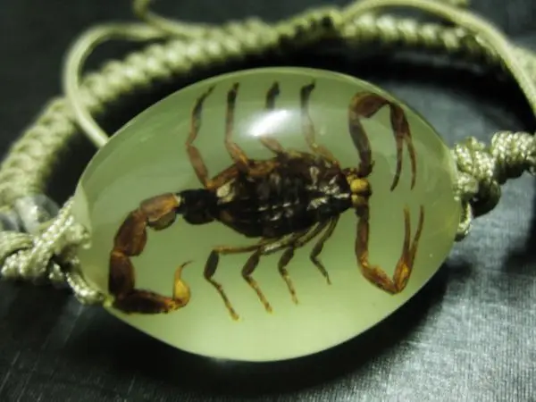 Free Shipping 12 Bangle Fashion Real Bug Insects Gold Scorpion Free Shipping 12 Bangle Fashion Real Bug Insects Gold Scorpion Bracelets Mix Rope