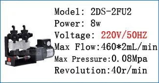 2DS-2F