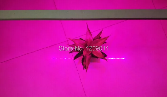 Светодиодный светильник для роста растений красный: синий/660nm: 460nm 5:1/8:1 DC12V SMD2835 светодиодный светильник, 12 Вт 60 Светодиодный s на метр