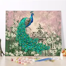 DIY кадров живопись по номерам Аннотация Павлин животного живопись акрил расписанную для домашнего декора 40x50 стене Книги по искусству изображение