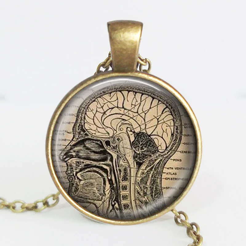 Llavero de cerebro anat/ómico llavero de regalo de neurologista anatom/ía del cerebro humano biolog/ía regalo para estudiantes m/édicos