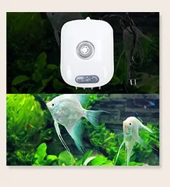 fish_06