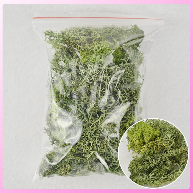 Immortal moss diy flower accessories (4)