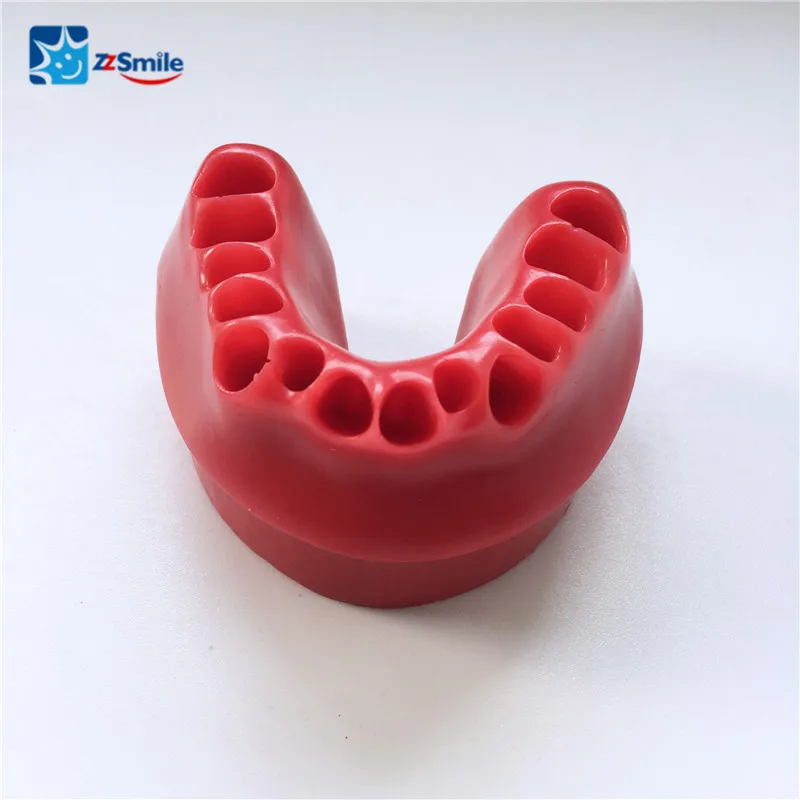 Liga de Substituição Typodonts Dentes Dentários Modelo Estudo Treinamento Ortodôntico M8017 10 Clareamento dos dentes