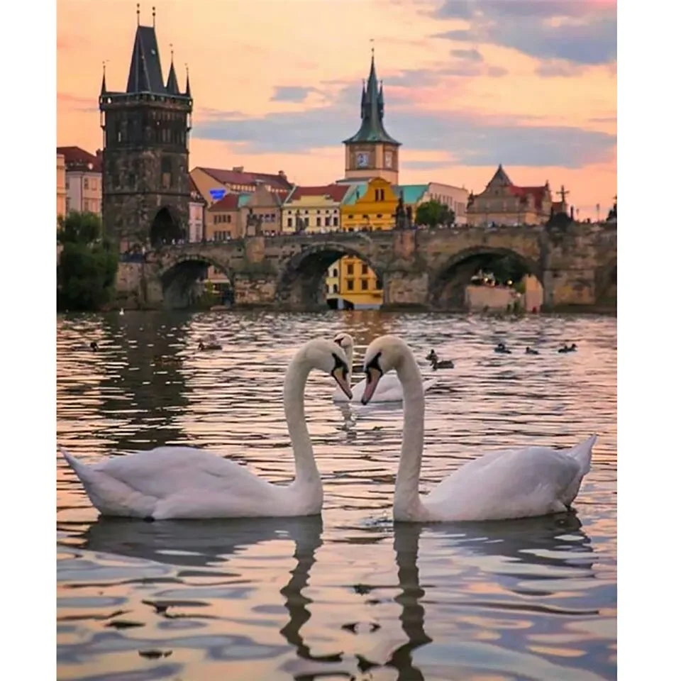

5D DIY Diamond Animal Swan Painting City Building Art Full Square Drill Pictures Embroidery Mosaic Cross Stitch Craft Wall Decor