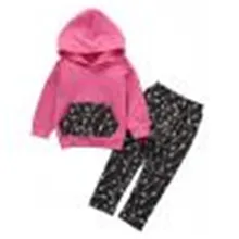 Autumn Winter Baby Clothes Set Kids Newborn Baby Boy Girl Hoodie Sweatshirt Top +Long Pants Leggings Cotton Baby Clothing Set