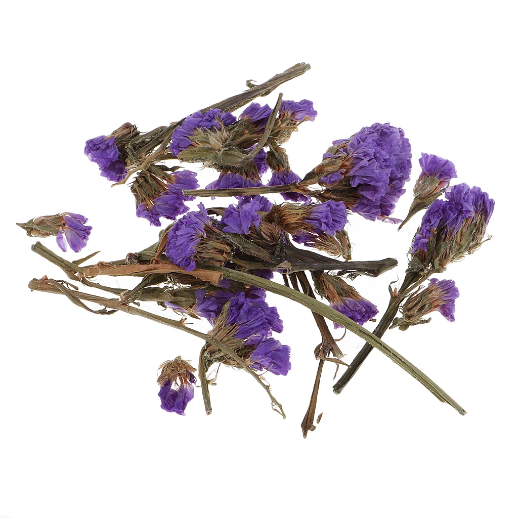 4g/Pack Beautiful Real Dried Flower for Making Handmade Soap Candle Pendant DIY Decoration Artificial Decorations Supplies