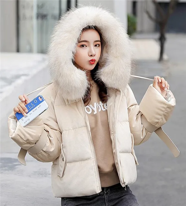 QQ20181122114919
