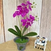 60cm Artificial Flower Real Touch Latex 2 Branch Butterfly Orchid Flowers with Leaves Wedding Home Hotel Decoration Flores ► Photo 2/6