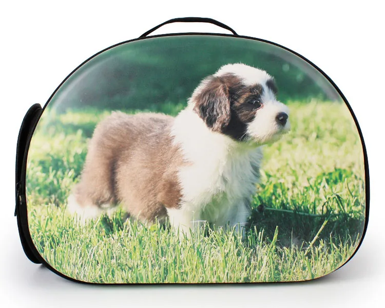 dog carrier for small dogs