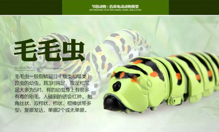 7-img_meitu_1