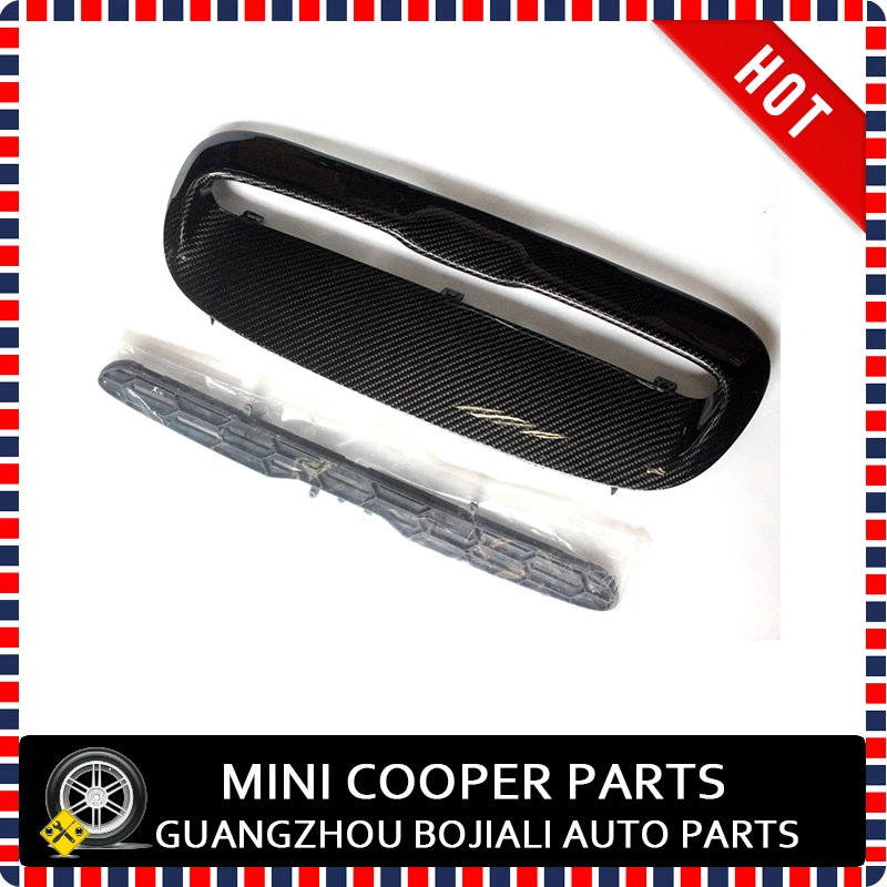 Mini Cooper R53 Carbon Fiber