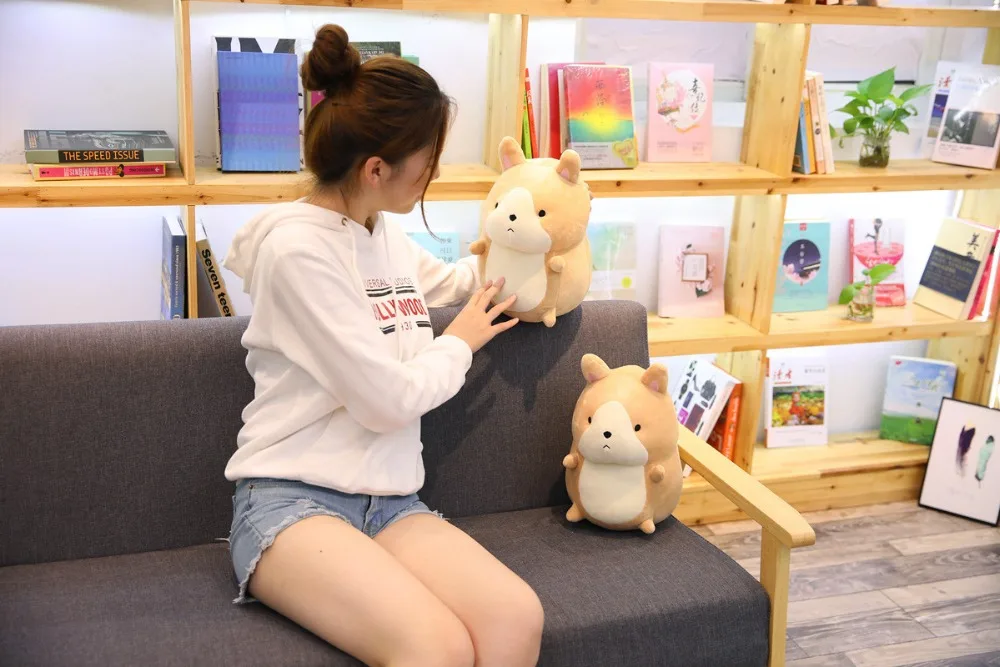 9076202442_526651954