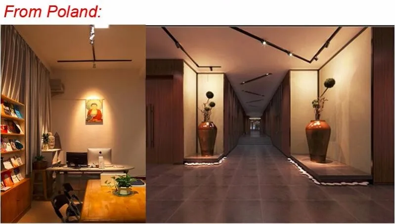 Spotlight para Sapatos de Roupas o Envio Gratuito de 35 Faixa 2 Fios 3 4 Trilho Pista Loja Comercial Lâmpada w Cob Led Luz 16 O envio gratuito de 35 w cob