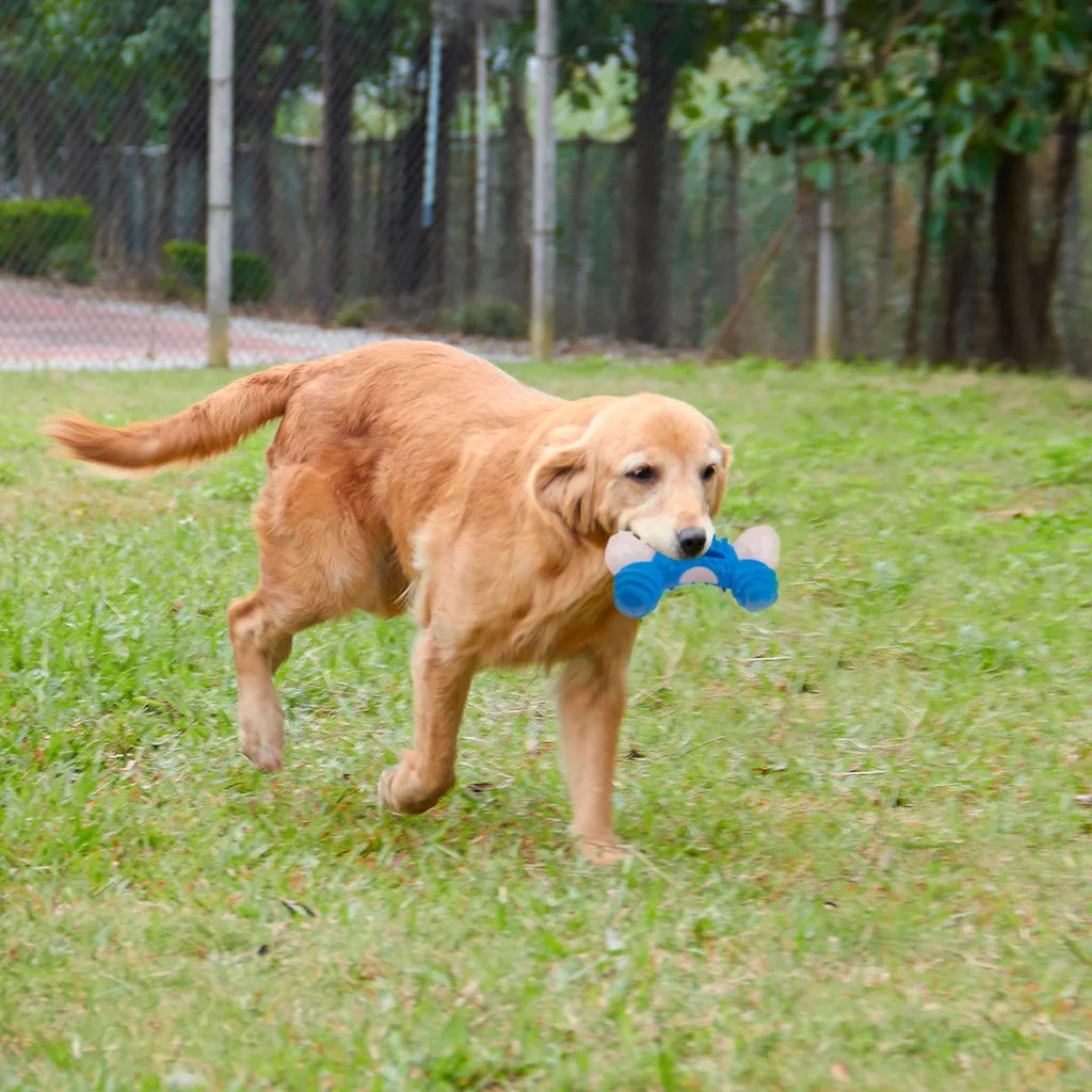

Pet Dog Bone Resistant To Bite Toy Dog Chew Food Bone Gnawing Teeth Pet Toys Dog Tooth Clean tool Of Food Extra-tough Rubber