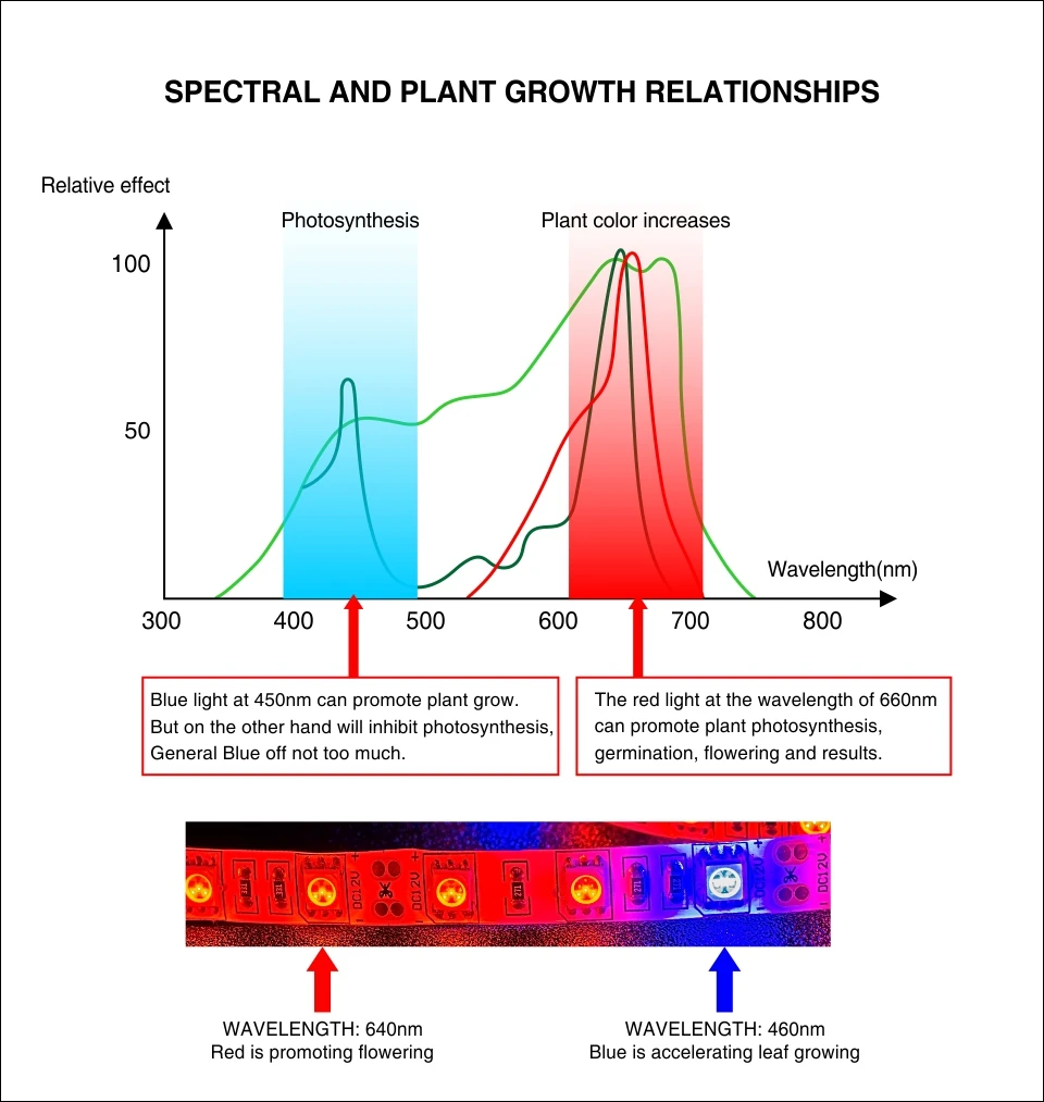 S5050植物灯带-2-2