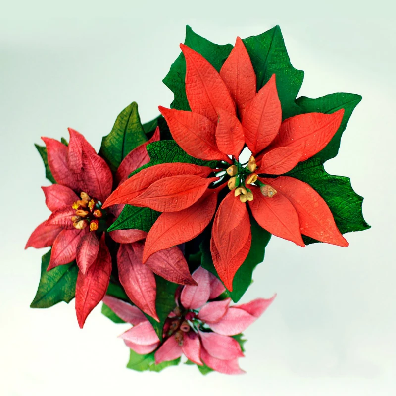 Форма Poinsettia и Veiner, силиконовая форма для выпечки, форма для торта, инструменты для украшения торта на день рождения, силиконовая форма для торта Dec