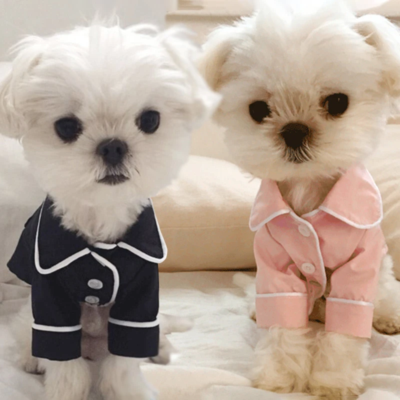 puppy clothes for small dogs