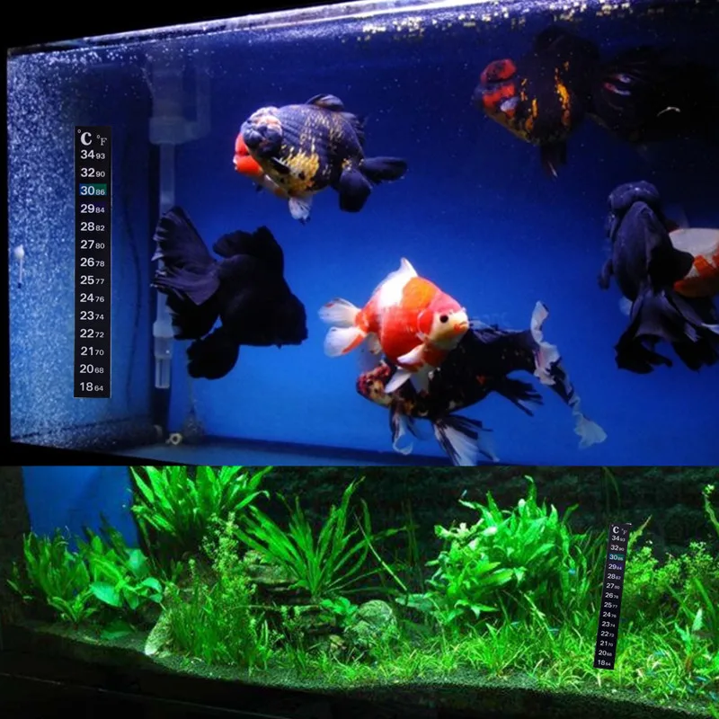 5pcs Thermometer Strip Stick-on Color Temperature Sticker Aquarium