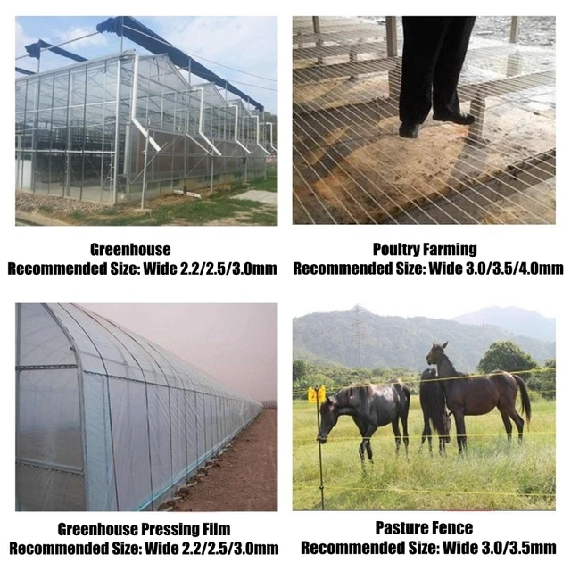 Plastic Mesh for Protecting Tree, Grass, Chicken, Duck, Flower and Crop