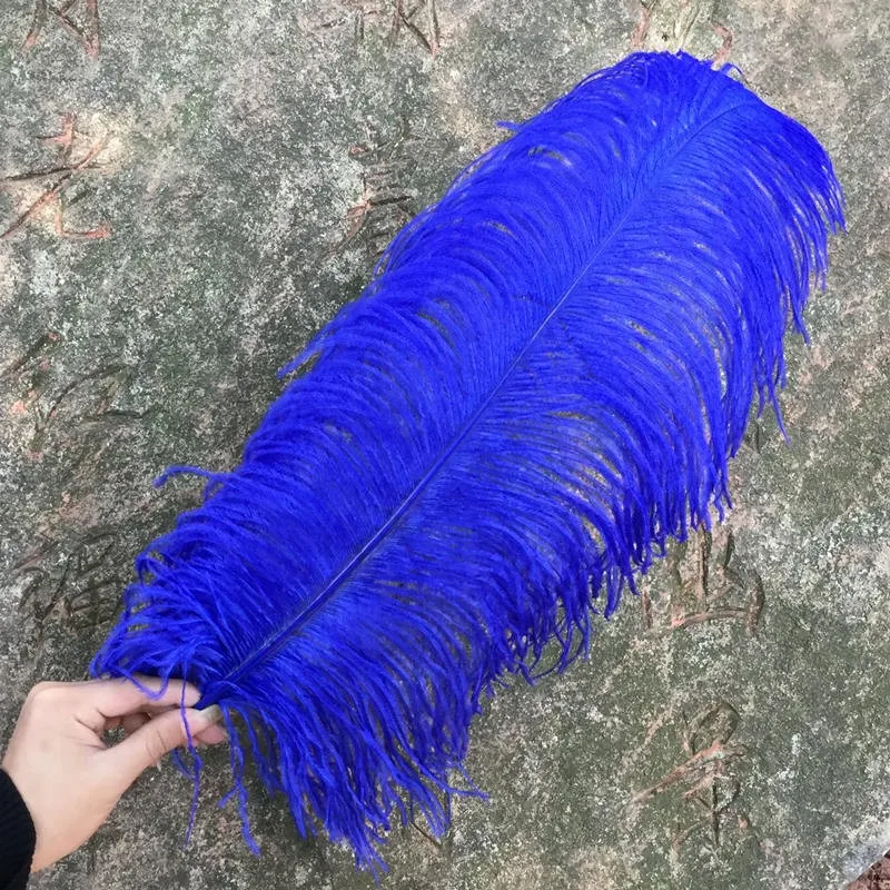 

Бесплатная доставка 50 шт Королевский синий страусиное перо Длина 50-55 см diy Шлейфы карнавальные костюмы украшения для дома и свадьбы