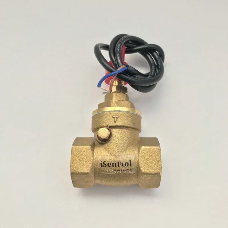USB FS21TA перегородка Тип потока Сенсор геркон переключатель латунный 5 15L/мин 250V DC 70