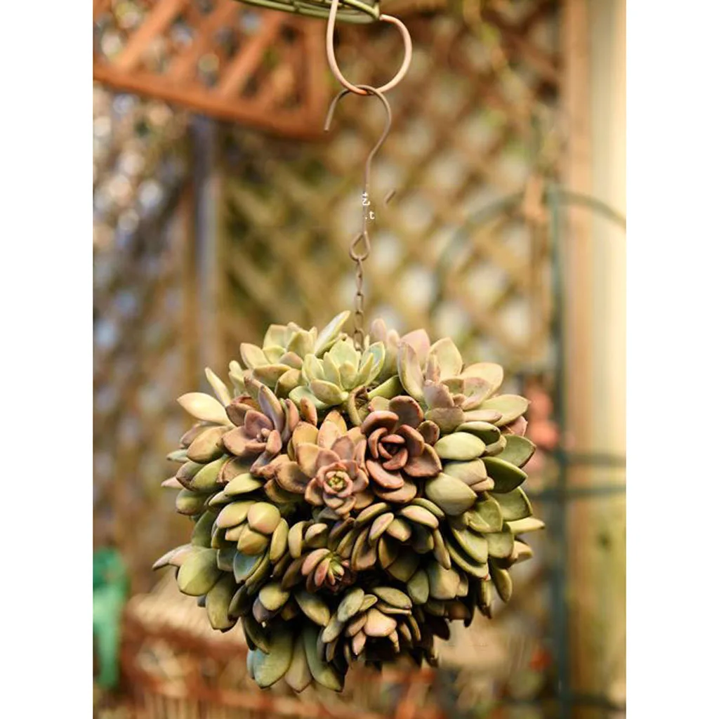 2Pcs 15cm Iron Ball Shape Succulent Pot Metal Hanging Planter Plant Holder