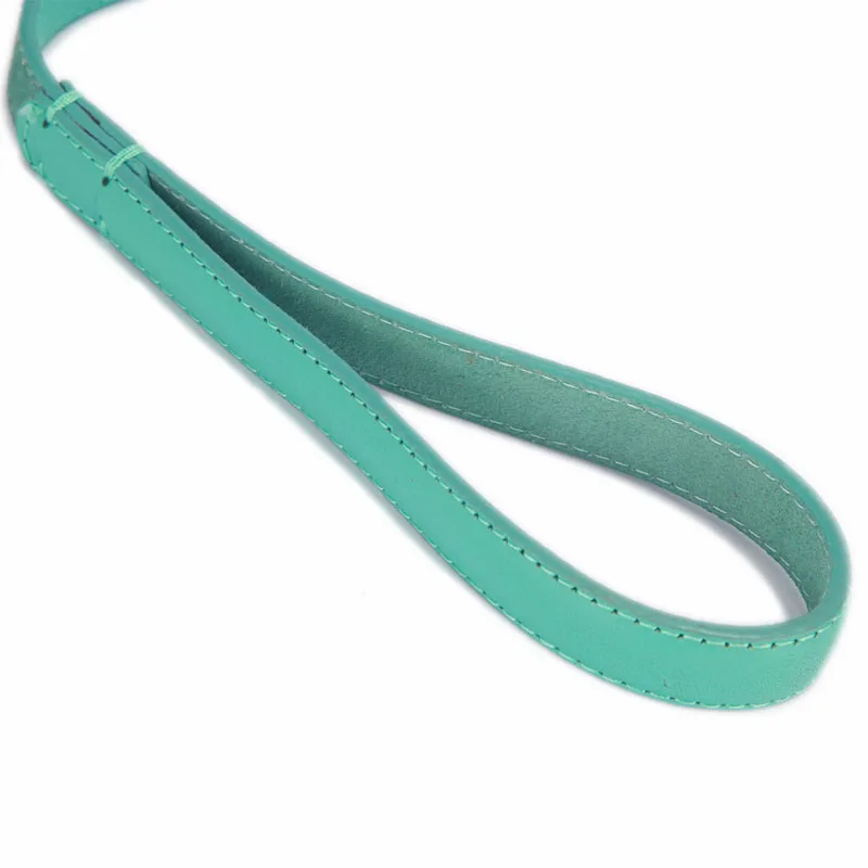 Dog Leash YS0030-6