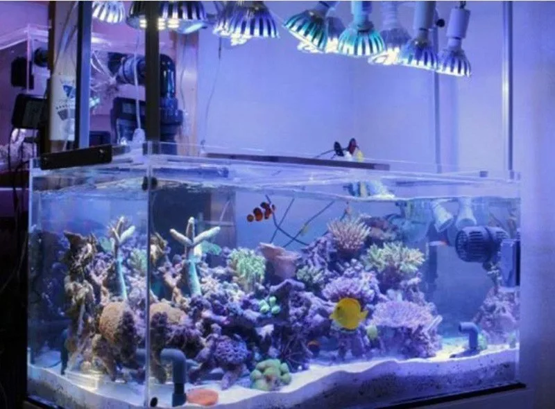 E27 Светодиодный светильник для аквариума, аквариумные лампы, аквариумные растения и коралловые лампы для выращивания, голубые и белые точечные светильники