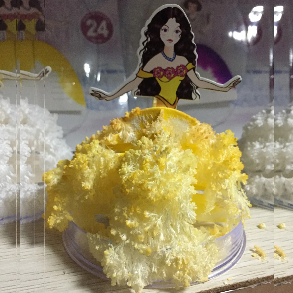 

2019 110mm H Colorful Magic Growing Paper Princess Tree Kit Artificial Mystical Dress Trees Educative Science Kids Toys Novelty