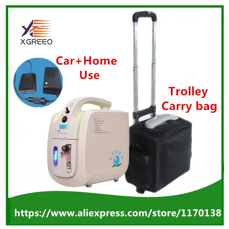 FDA CE Approved Car Use Oxygen Concentrator Generator 110V 240V DC12V Car Adapter Portable