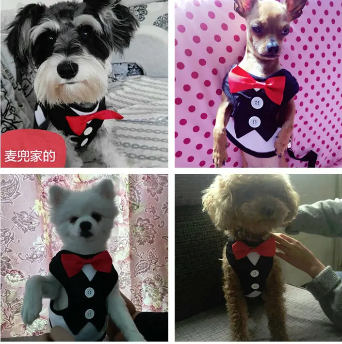 S01_Fashion_Red_Bowtie_Tuxedo_Pet_Dog_Harness_With_Leash_Adjustable_Safety_Walk_Harness_Vest_Gentleman_Suit_Boy_Dog_