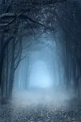 HUAYI лес в тумане Photocall фон новорожденных детей фотографии фонов Deep Forest фотофон реквизит для фона W-1790