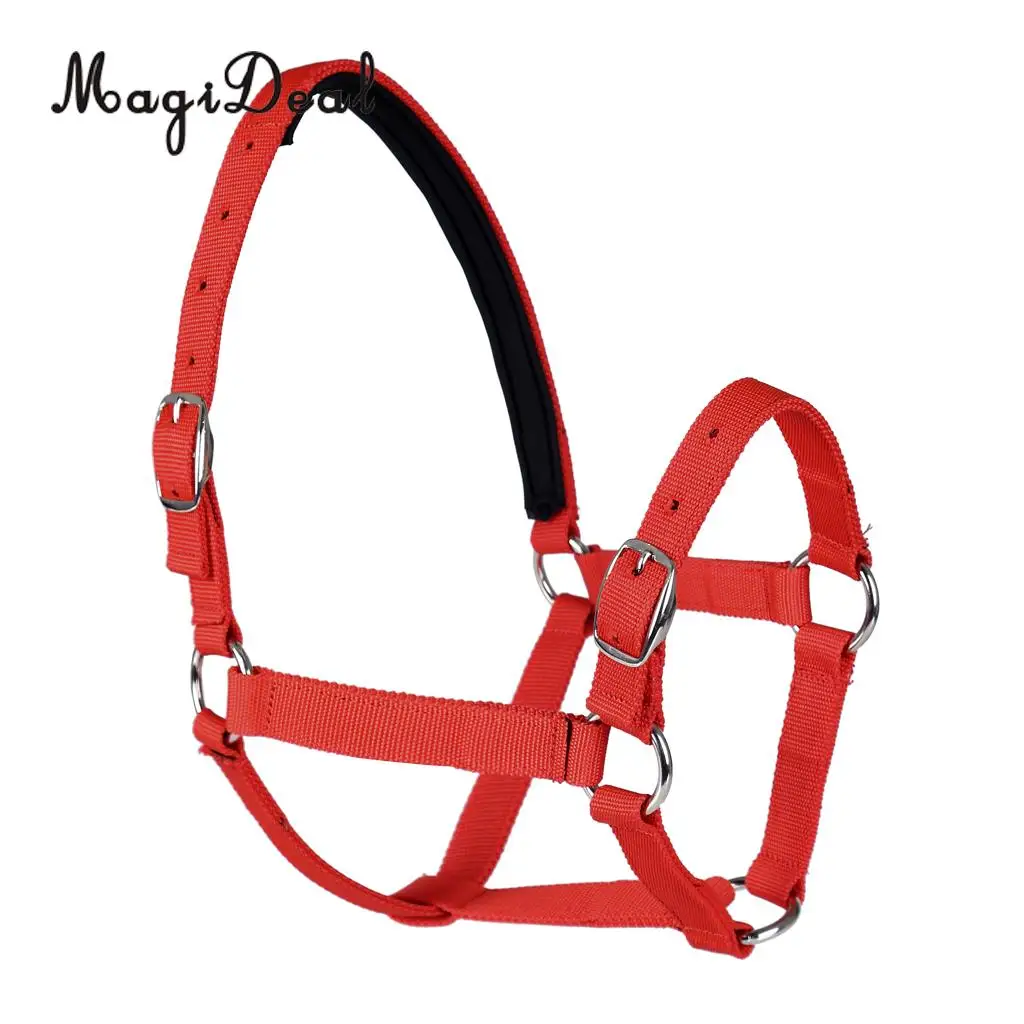 Adjustable Equestrian Western Horse Halter Fits 130cm - 165cm Horse Black/Blue/Red