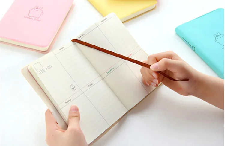 

2018 Cute Rabbit Diary Kawaii Calendar Planner 2018 2019 Program Notebook Notepad Pocket Journal For Gift School WJ-XXWJ311-