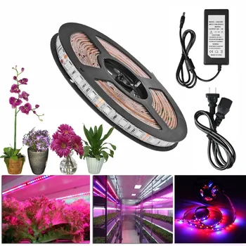 

full spectrum Led Plant grow light 5m 300 LED Strip Light for Aquarium Greenhouse Hydroponic Plant Growing Light + power adapter